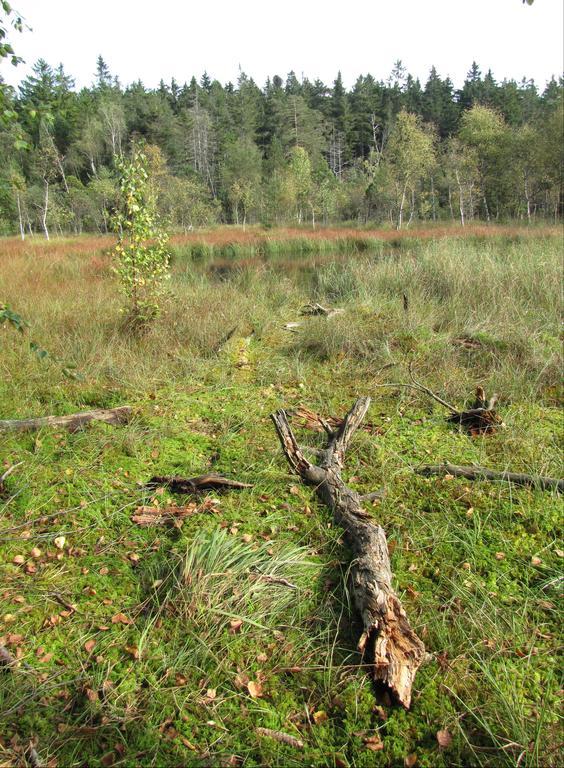 Stollenklause Leilighet Hormersdorf  Eksteriør bilde