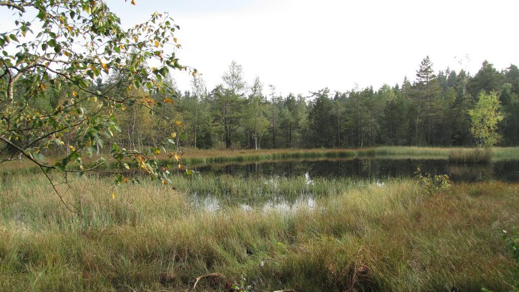 Stollenklause Leilighet Hormersdorf  Eksteriør bilde